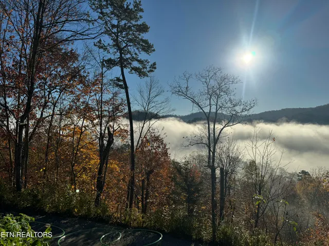 $625,000 | 1738 Mountain Shores Road, New Tazewell, TN 37825