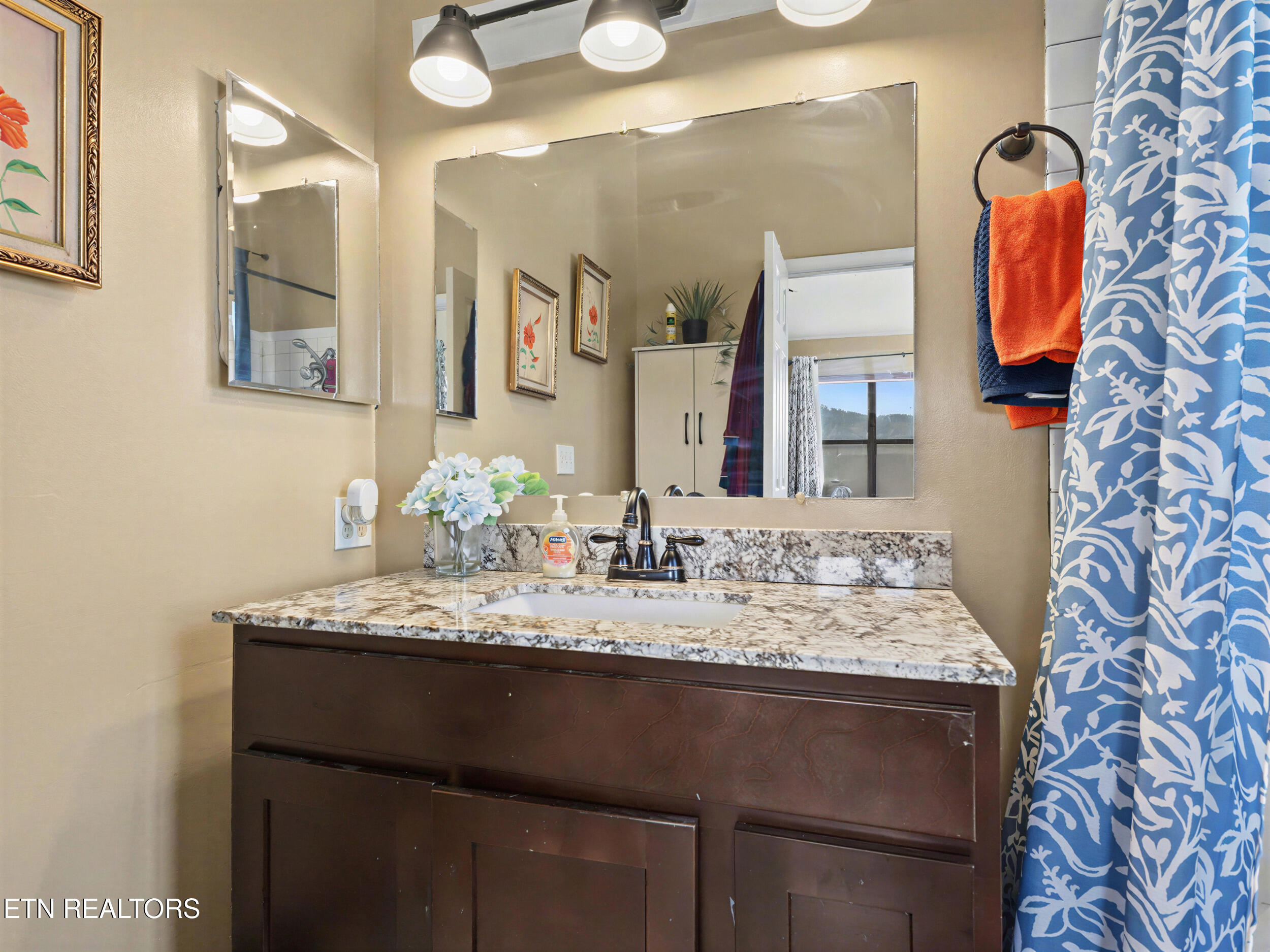 1738 Mountain Shores Road New Tazewell, TN 37825 - Photo 25 of 48 24_33