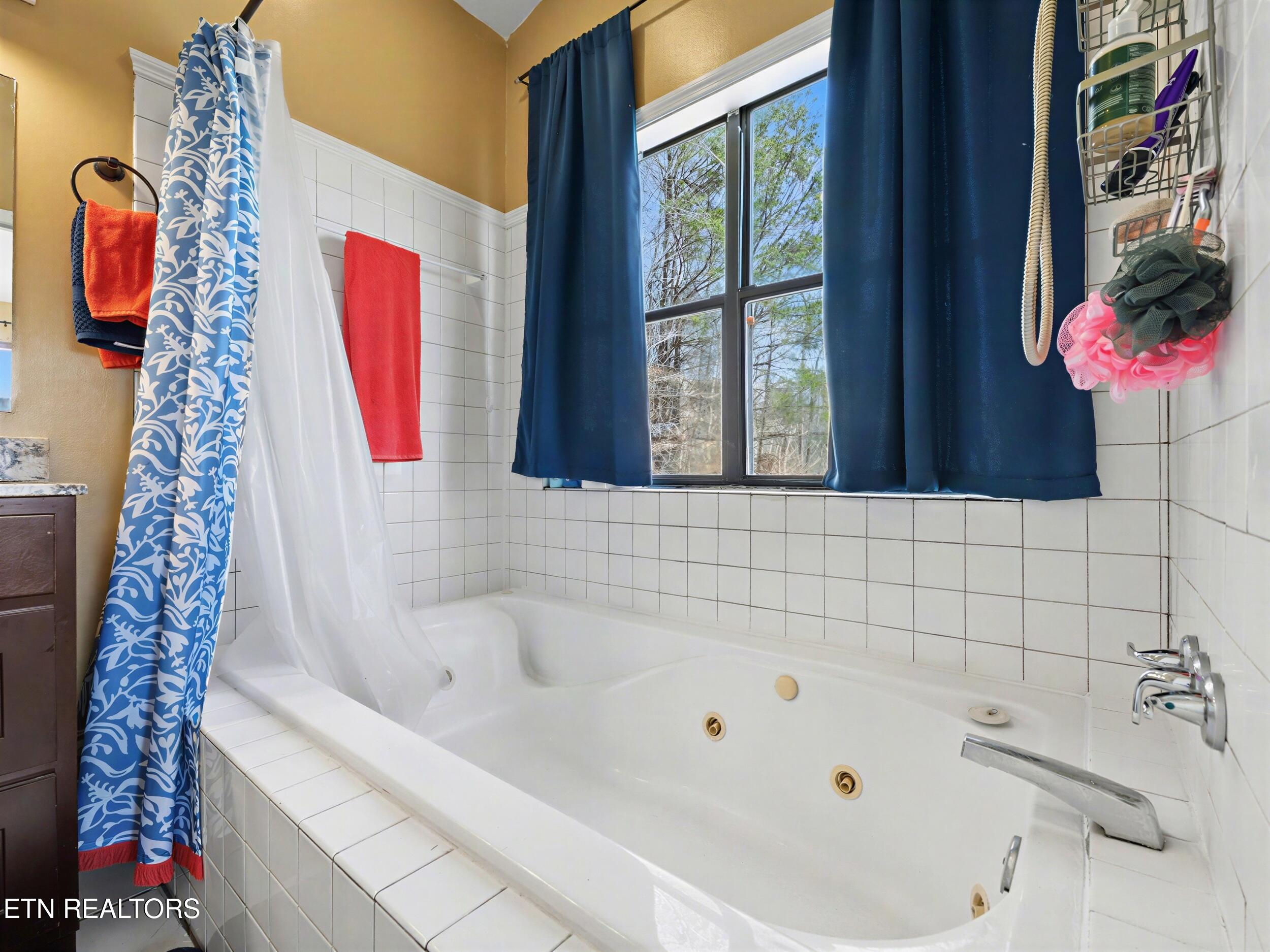 1738 Mountain Shores Road New Tazewell, TN 37825 - Photo 26 of 48 25_34