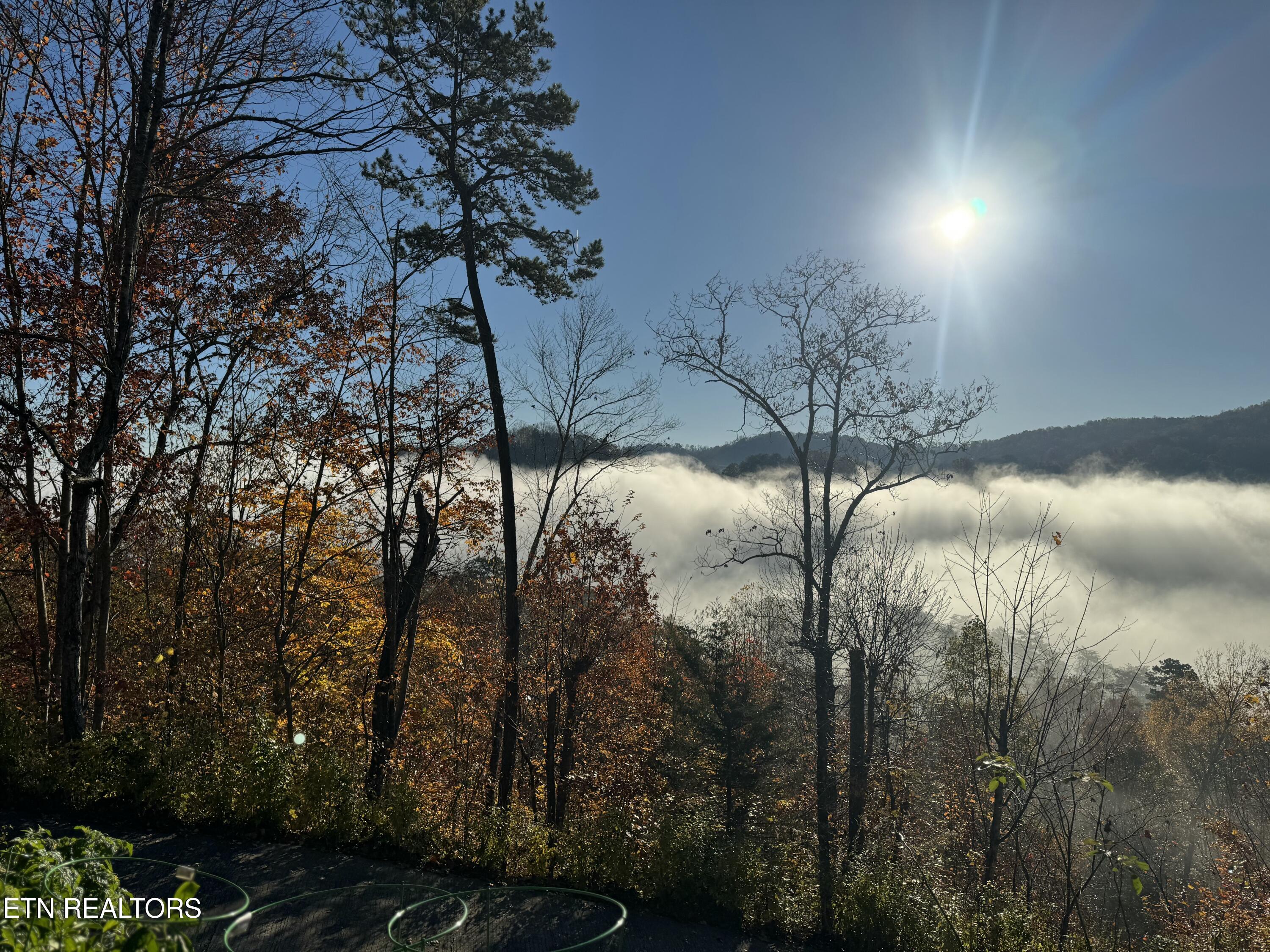 1738 Mountain Shores Road New Tazewell, TN 37825 - Photo 45 of 48 IMG_2220