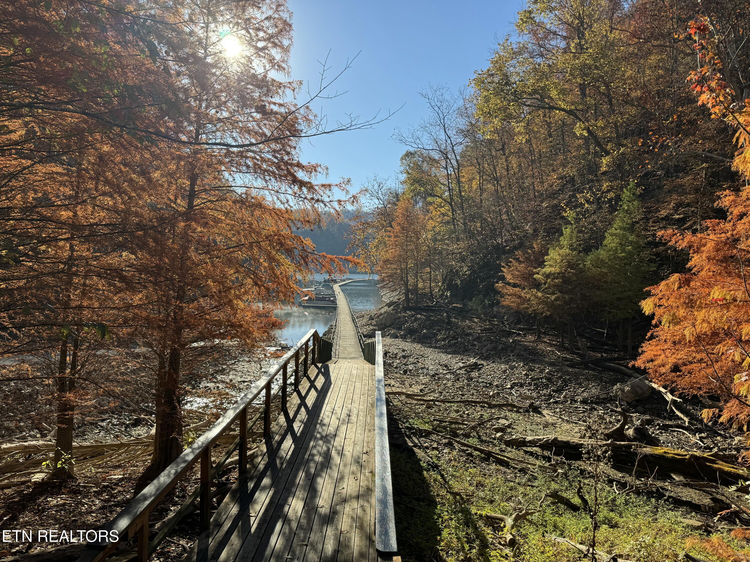 1738 Mountain Shores Road New Tazewell, TN 37825 - Photo 47 of 48 IMG_2221