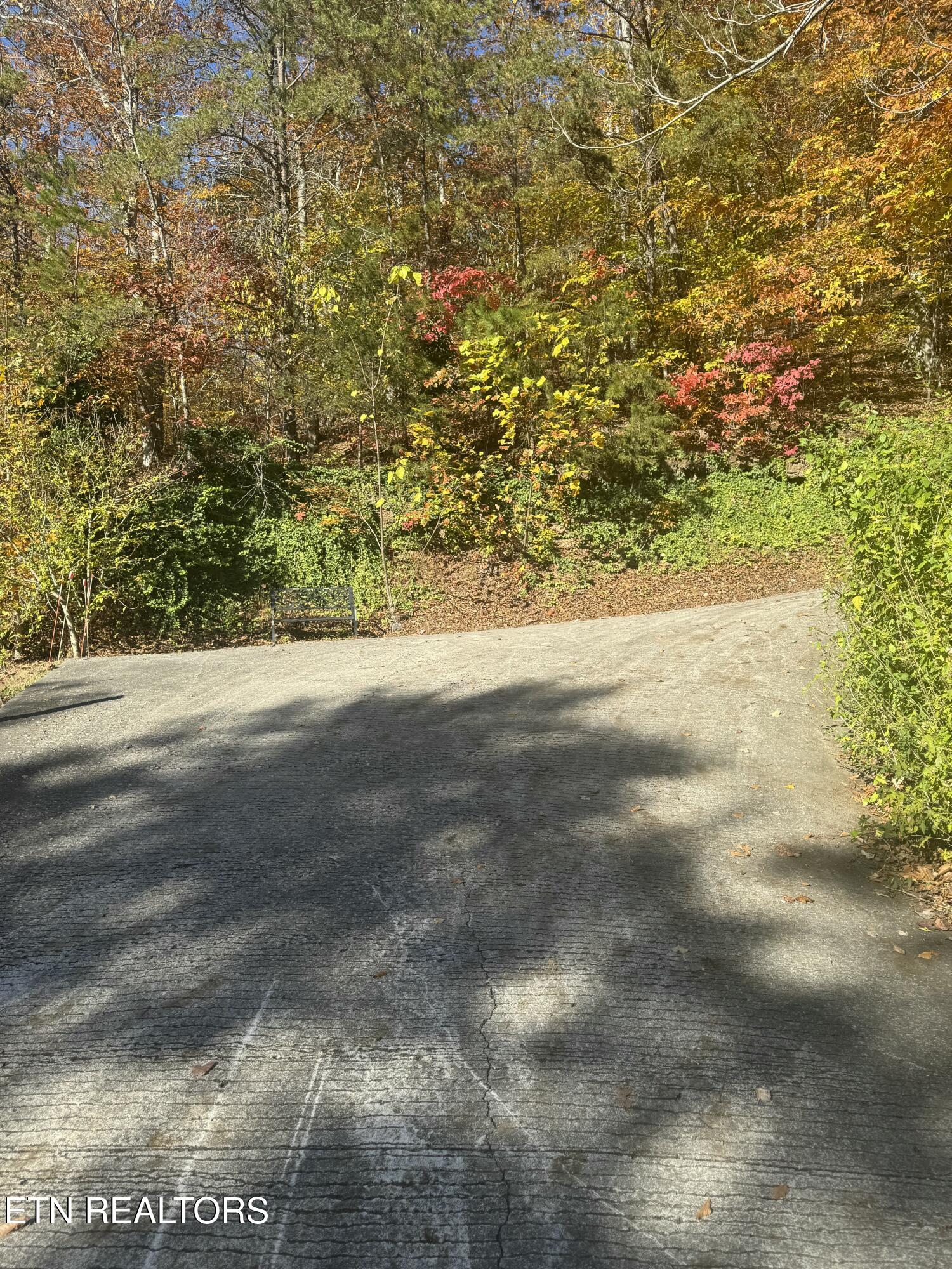 1738 Mountain Shores Road New Tazewell, TN 37825 - Photo 7 of 20 IMG_2206