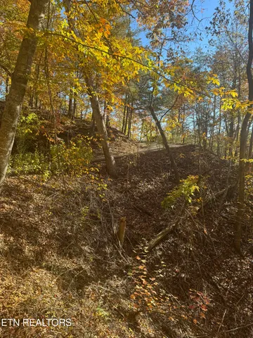 $625,000 | 1738 Mountain Shores Road, New Tazewell, TN 37825