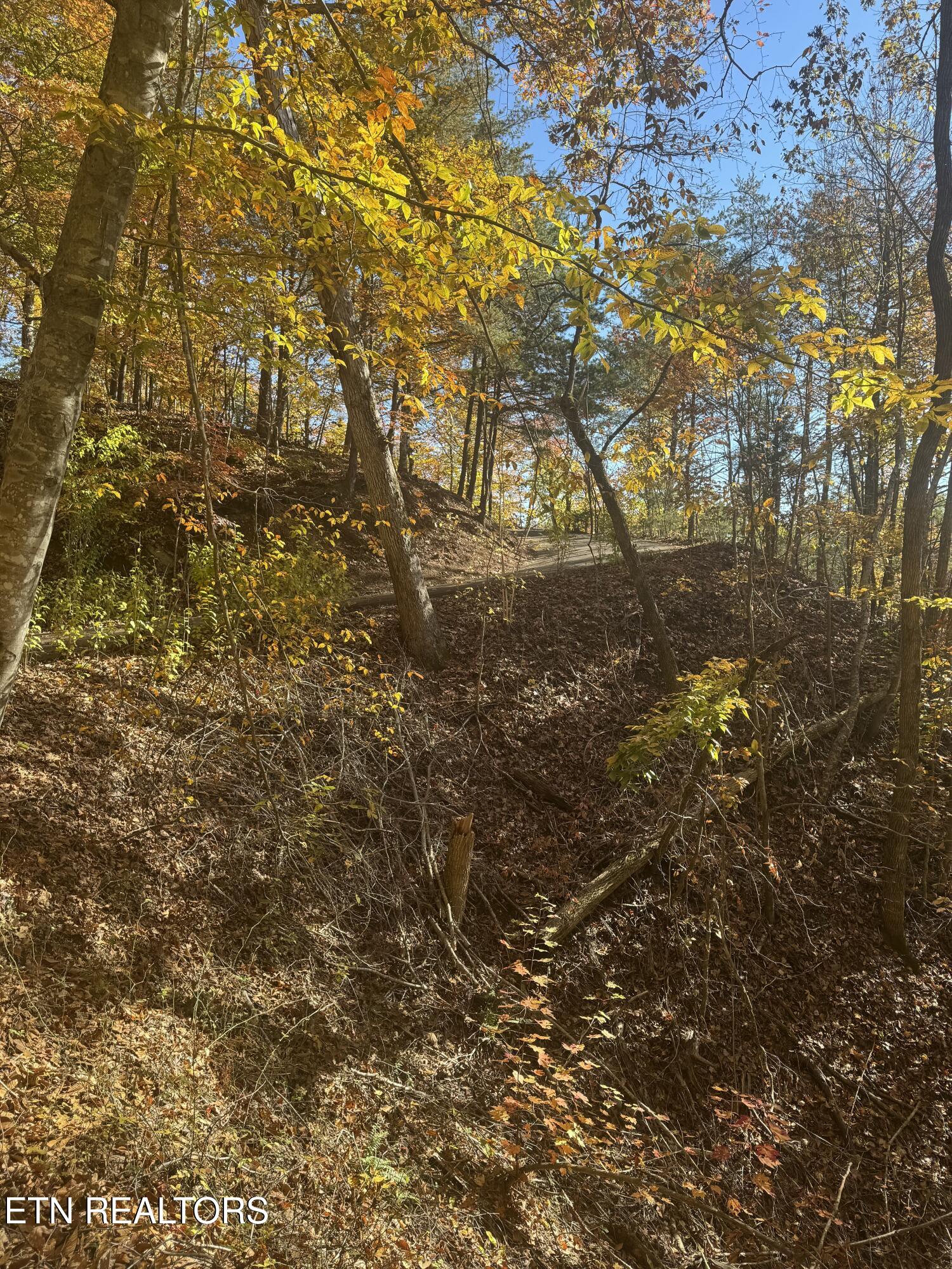 1738 Mountain Shores Road New Tazewell, TN 37825 - Photo 8 of 20 IMG_2207