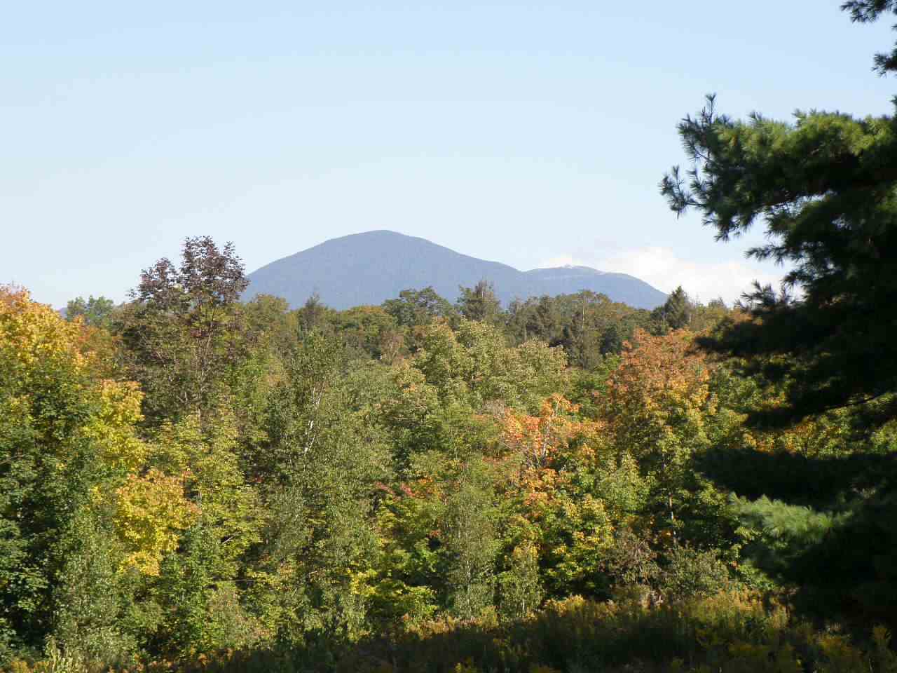 0 Nutting Farm Road Montgomery, VT 05450 - Photo 8 of 10 Gallery Image 8