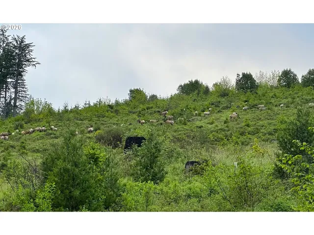 $315,000 | 48232 Westoak Road, Oakridge, OR 97463