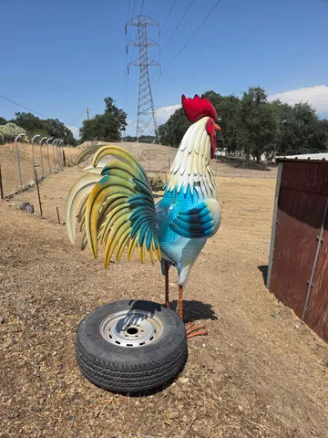 a view of swimming pool with a table and chairs
