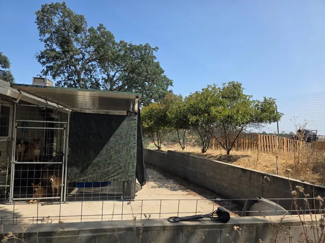 $498,000 | 2659 Danaher Drive, Valley Springs, CA 95252