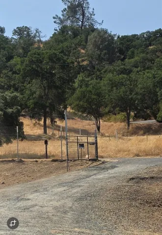 a view of a yard with trees