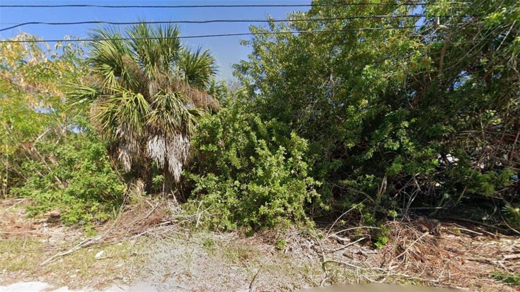 926 Elm Street Punta Gorda, FL 33950 - Photo 3 of 3 a view of a bunch of plants and trees