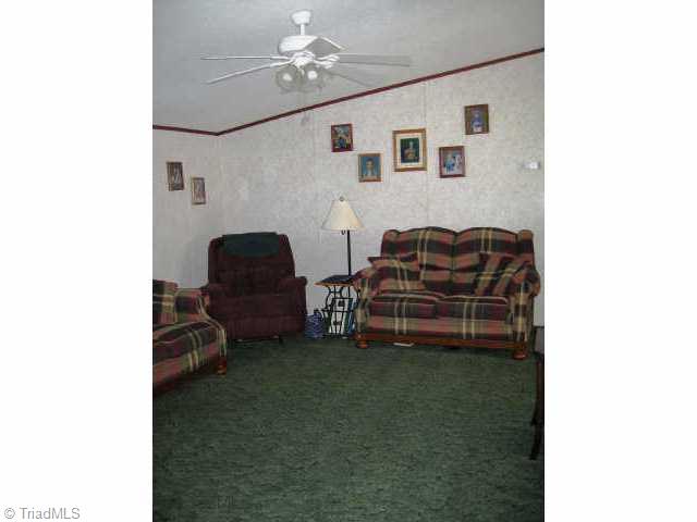 3126 Old Mountain Road Trinity, NC 27370 - Photo 4 of 4 Other.