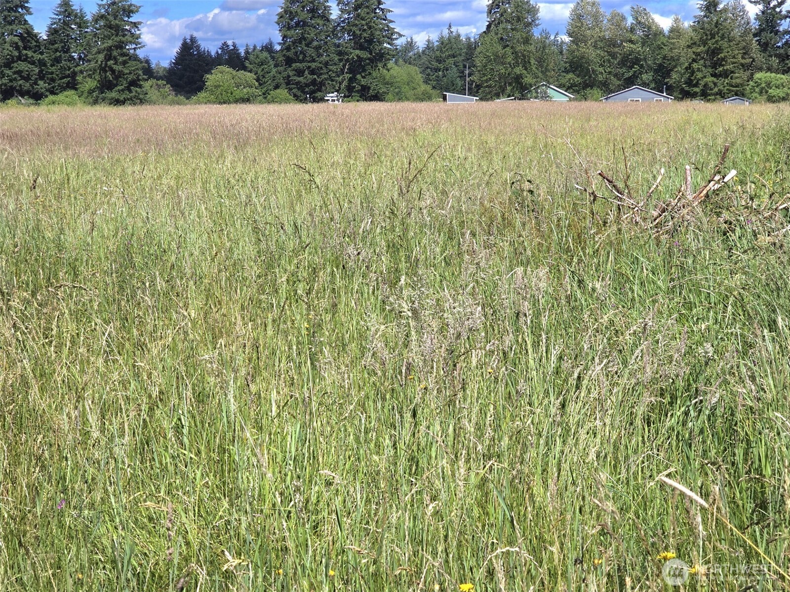 11916 Fillman Road Southeast Rainier, WA 98576 - Photo 33 of 33