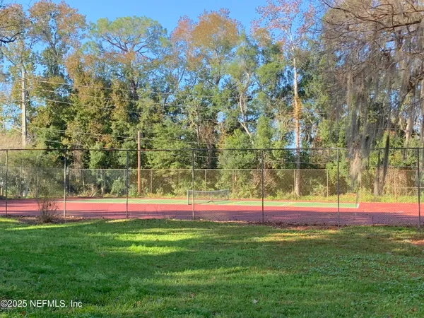 a view of a park with large trees
