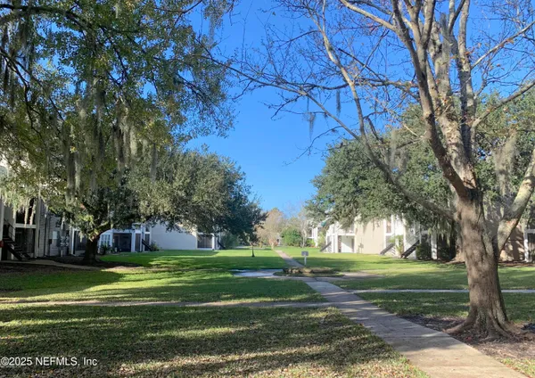 a view of a park with large trees