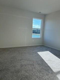 403 Wildflower Circle Calhoun, GA 30701 - Photo 12 of 29