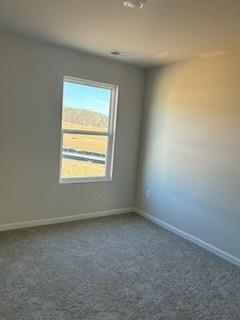 403 Wildflower Circle Calhoun, GA 30701 - Photo 19 of 29