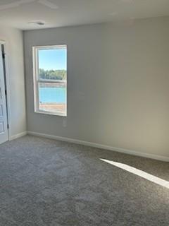 403 Wildflower Circle Calhoun, GA 30701 - Photo 22 of 29