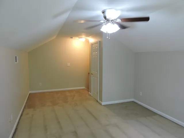 a view of a backyard with a large tree and a large tree