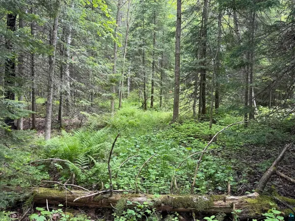 $39,000 | 0 Jack Pine Road, Cornucopia, WI 54827