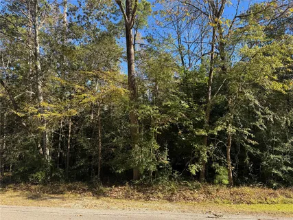 $23,000 | 58 North Fairway Loop, Coldspring, TX 77331