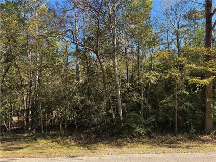 $23,000 | 58 North Fairway Loop, Coldspring, TX 77331