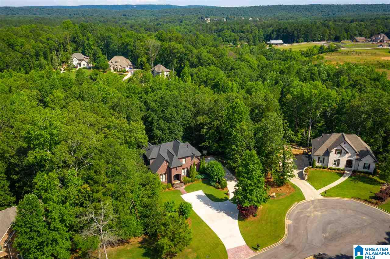 305 North Highland Ridge Court Chelsea, AL 35043 - Photo 48 of 50