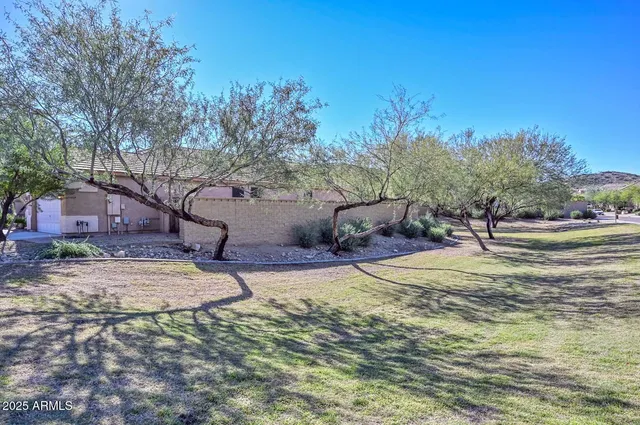 a view of a yard with a house