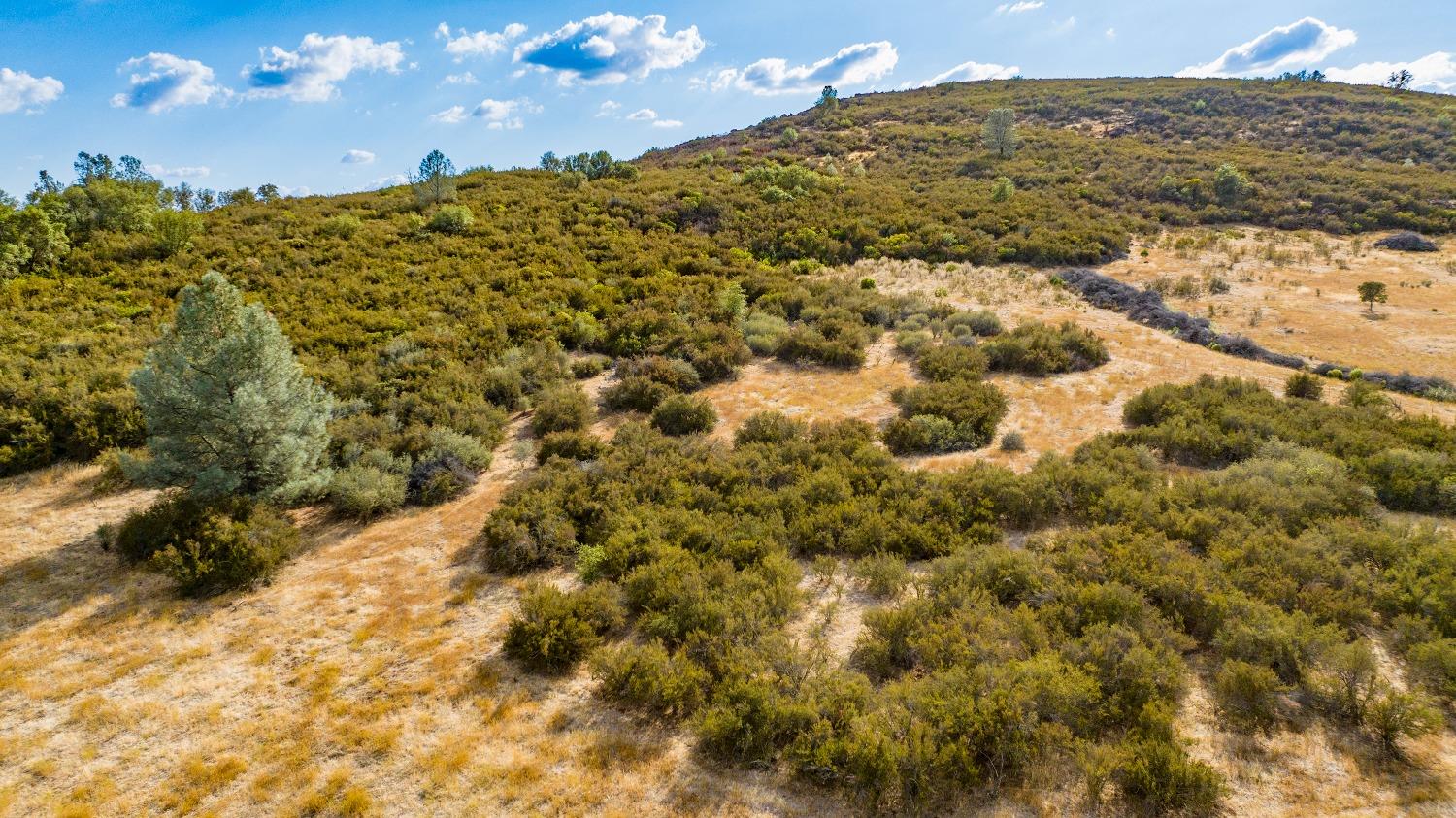 0 Highway 12 Valley Springs, CA 95252 - Photo 18 of 48 a view of a yard