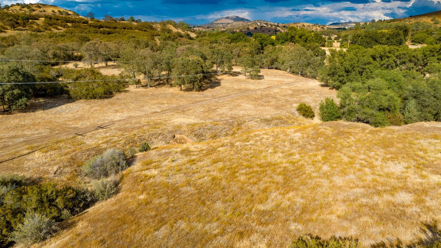 0 Highway 12 Valley Springs, CA 95252 - Photo 19 of 48 a view of a yard