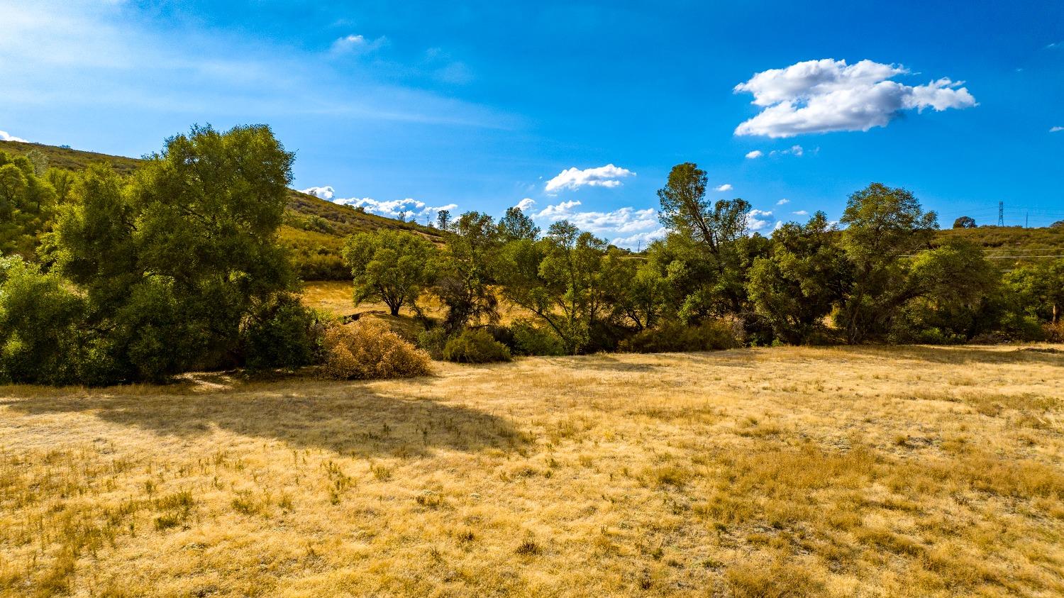 0 Highway 12 Valley Springs, CA 95252 - Photo 25 of 48 a view of a yard with a tree