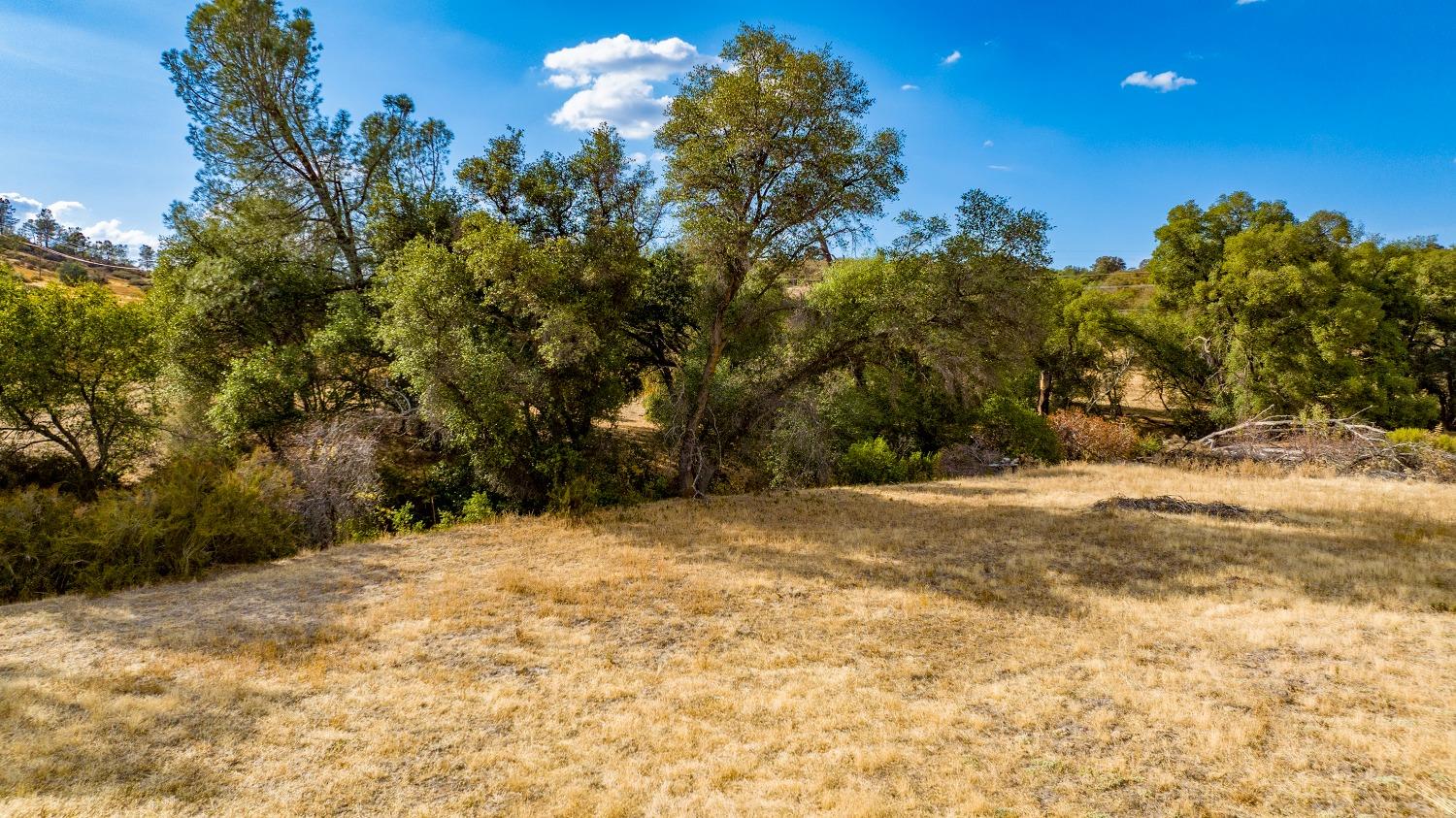 0 Highway 12 Valley Springs, CA 95252 - Photo 26 of 48 a view of a yard with a tree