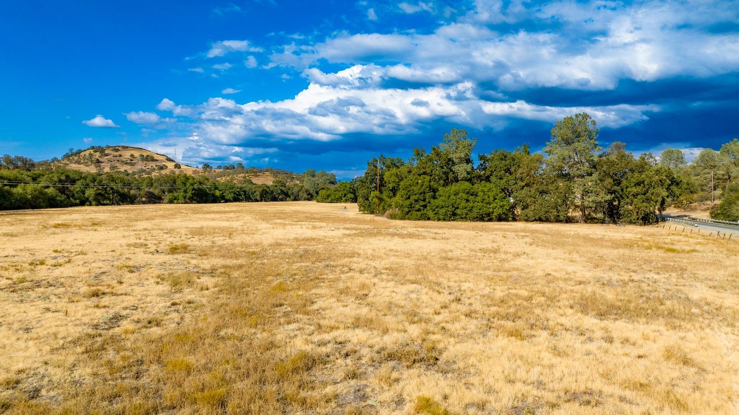 0 Highway 12 Valley Springs, CA 95252 - Photo 27 of 48 a view of yard with large trees