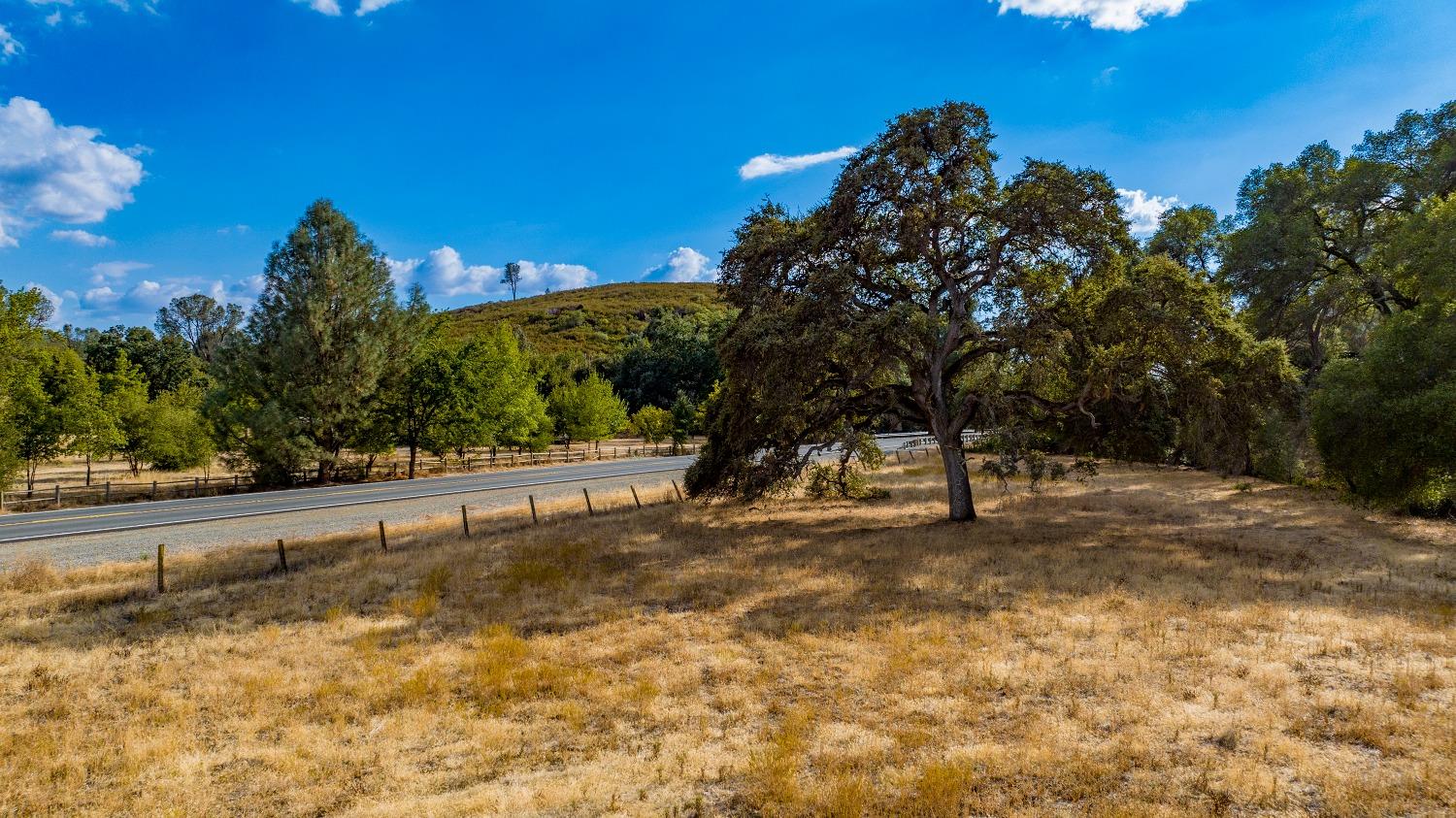 0 Highway 12 Valley Springs, CA 95252 - Photo 31 of 48 a view of a yard with a tree