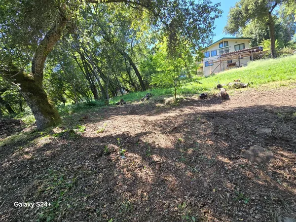 a view of a house with a yard and tree s