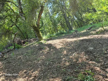 a view of backyard with green space
