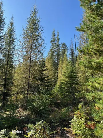 $168,500 | 7 Usfs 2294 Clark Fork, Clark Fork, ID 83811