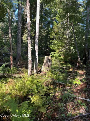 $168,500 | 7 Usfs 2294 Clark Fork, Clark Fork, ID 83811