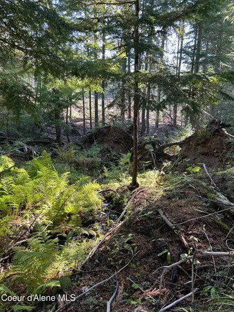 $168,500 | 7 Usfs 2294 Clark Fork, Clark Fork, ID 83811