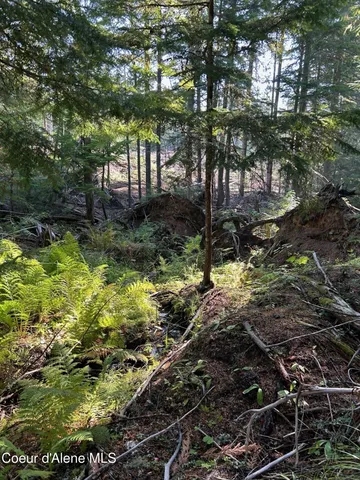 $168,500 | 7 Usfs 2294 Clark Fork, Clark Fork, ID 83811