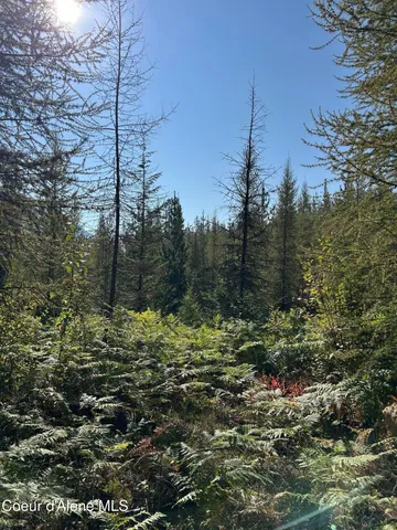 $168,500 | 7 Usfs 2294 Clark Fork, Clark Fork, ID 83811
