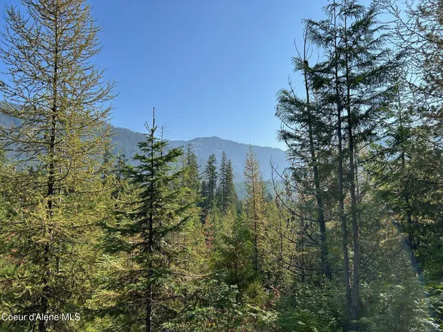$168,500 | 7 Usfs 2294 Clark Fork, Clark Fork, ID 83811