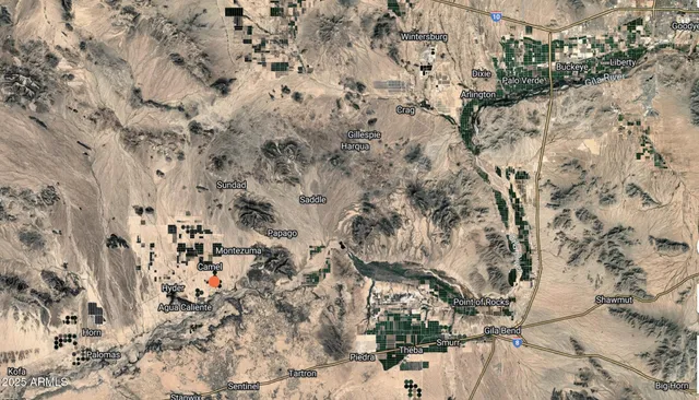 a view of a dry yard