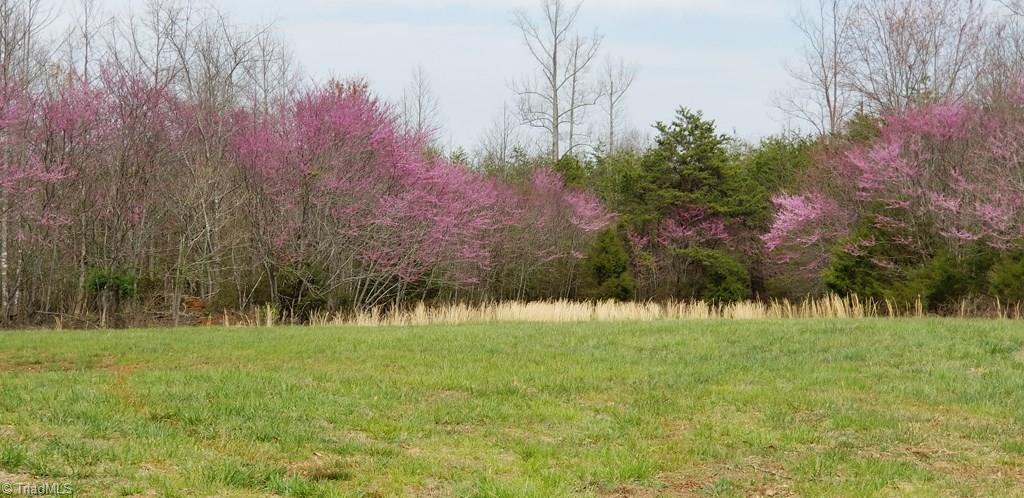 Off Billy Pratt Road Siloam, NC 27047 - Photo 2 of 30 Gallery Image 2