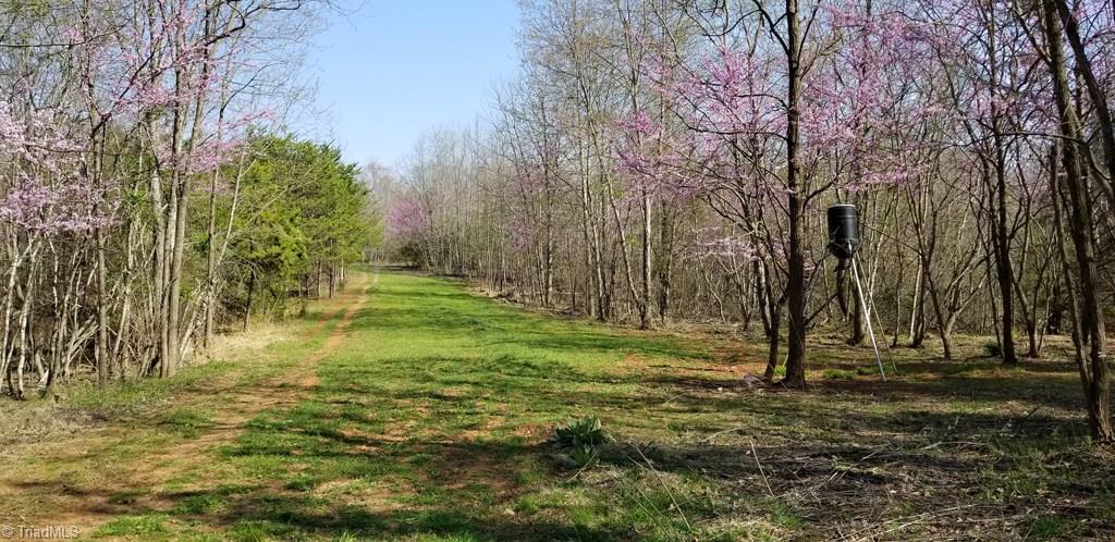 Off Billy Pratt Road Siloam, NC 27047 - Photo 12 of 30 Gallery Image 12