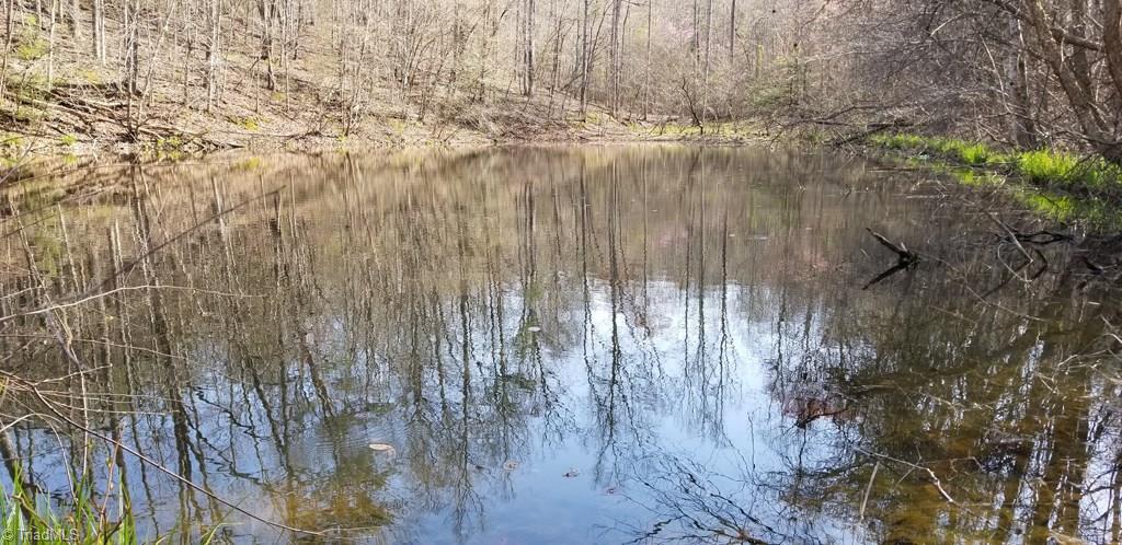 Off Billy Pratt Road Siloam, NC 27047 - Photo 13 of 30 Gallery Image 13
