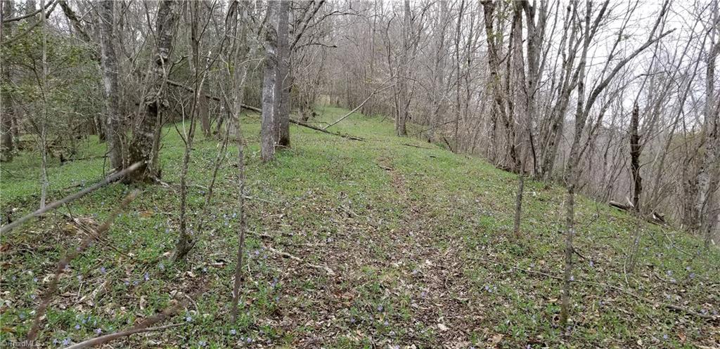 Off Billy Pratt Road Siloam, NC 27047 - Photo 22 of 30 Gallery Image 22