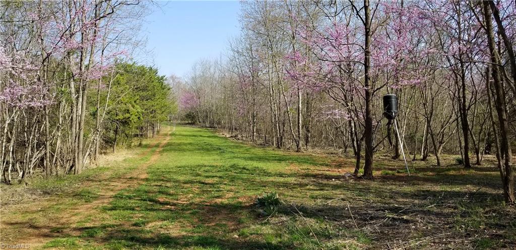Off Billy Pratt Road Siloam, NC 27047 - Photo 23 of 30 Gallery Image 23