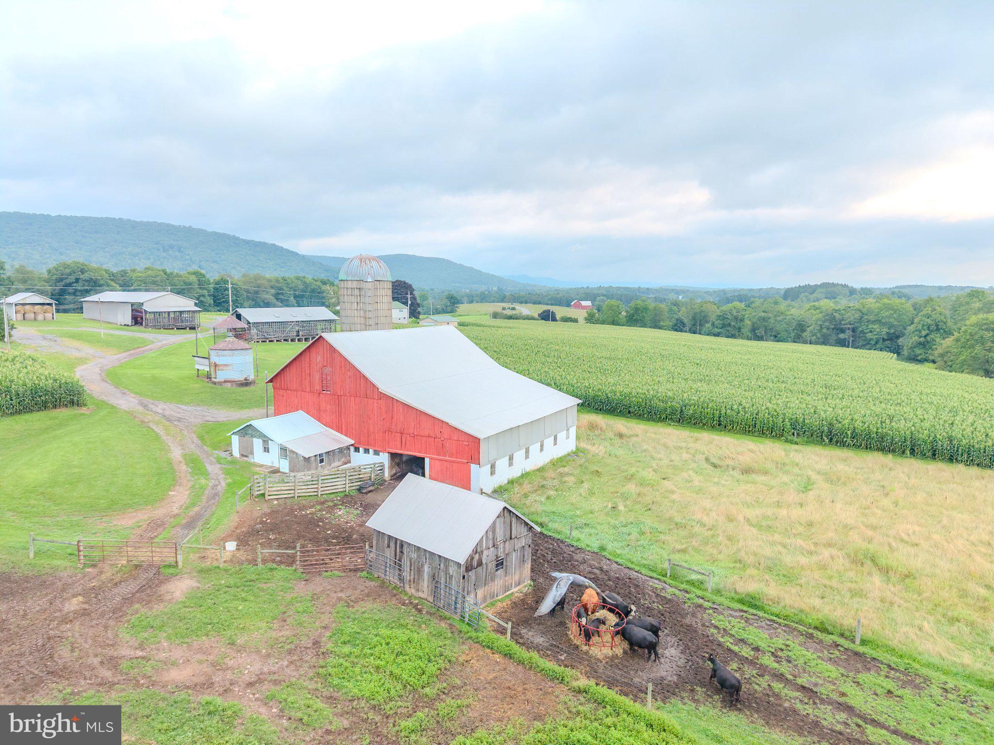 7606 Rose Valley Road Trout Run, PA 17771 - Photo 8 of 39 Charming farm nestled in green fields.