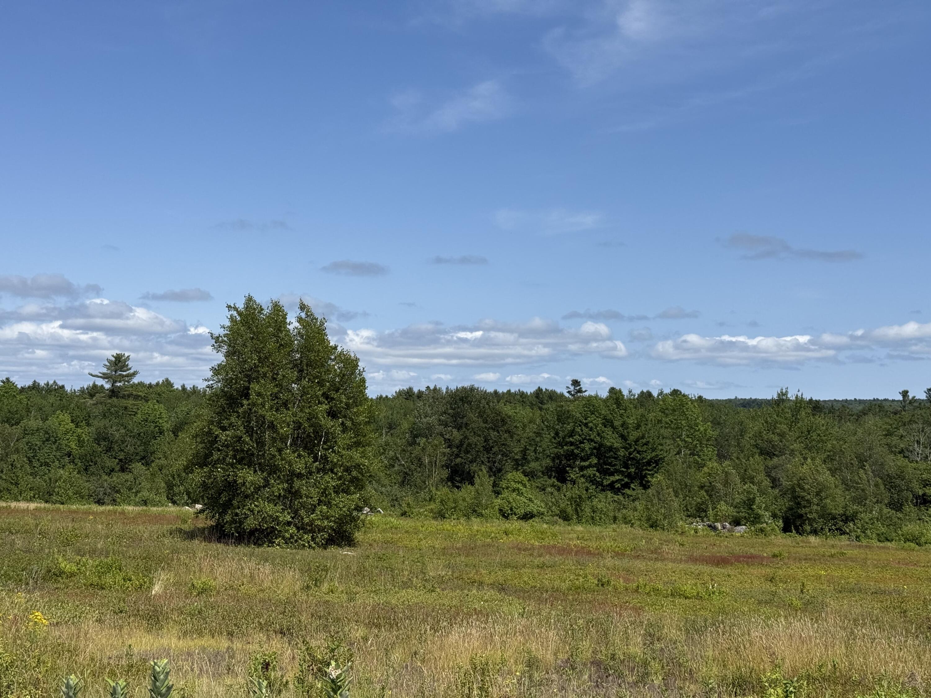 199 Rte Penobscot Me 04476 Route Penobscot, ME 04476 - Photo 21 of 37 MAP13LOT21 Route 199