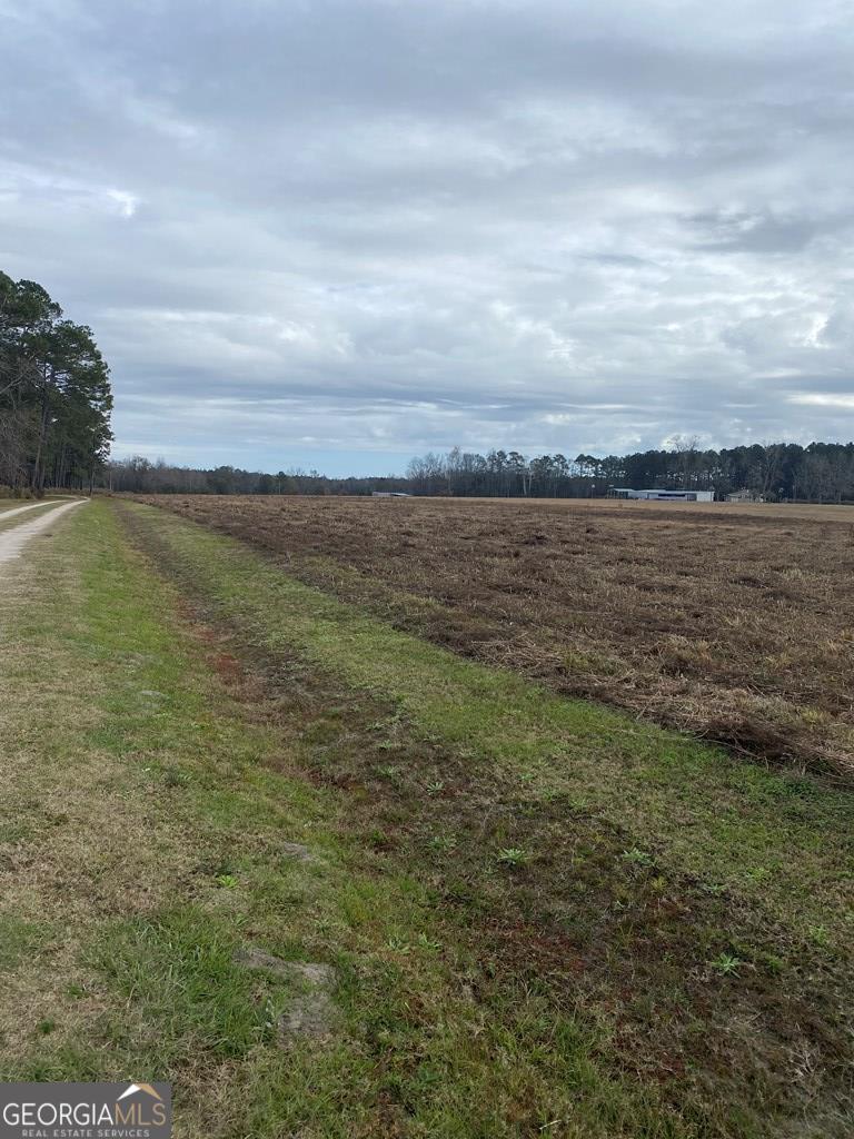 0 Seebeck Road Hazlehurst, GA 31539 - Photo 1 of 1 Main View